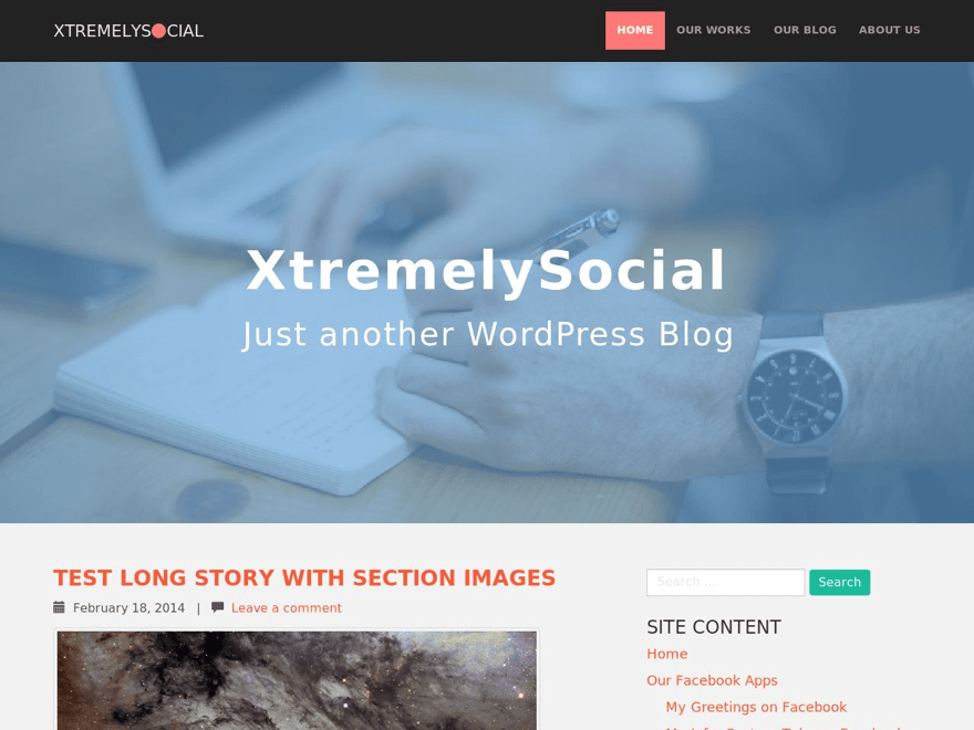 WordPress Themes